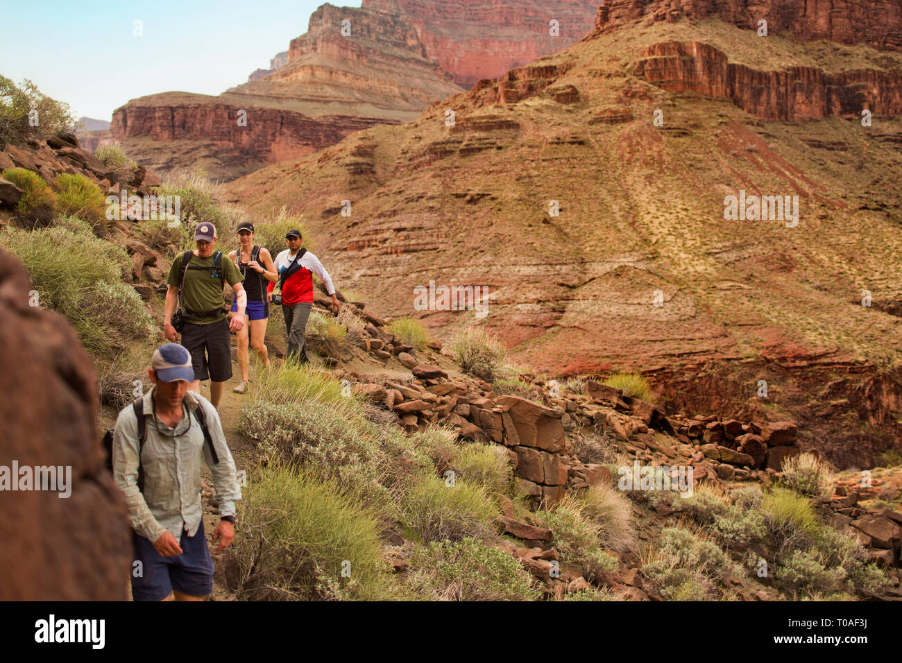 Gruppe von Freunden wandern durch einen Canyon Park. Stockfoto