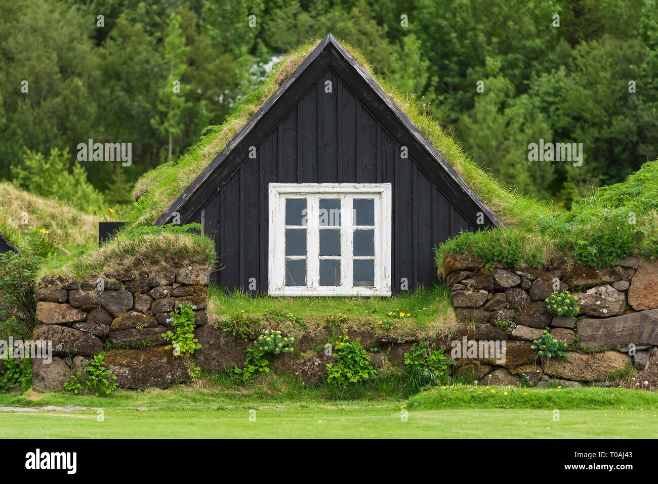 Isländische Torfhaus mit Gras auf dem Dach. Traditionelles Haus von Island. Museum im Dorf Skogar Stockfoto