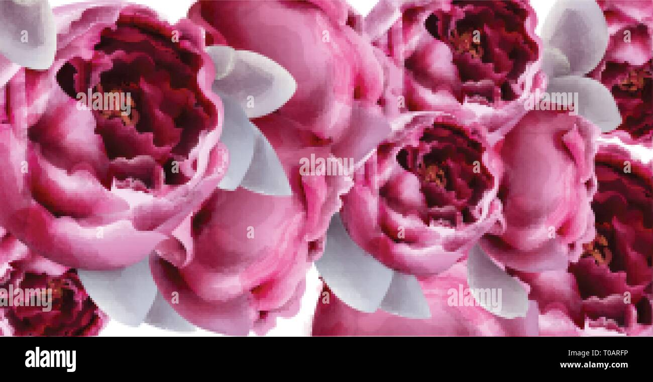 Rosa pfingstrose Blumen Hintergrund aquarell Vektor. Romantische Blumenmuster Einladung oder Grußkarte Dekoration. Tag der Frau, Valentinstag, Vertrieb und andere Ev Stock Vektor