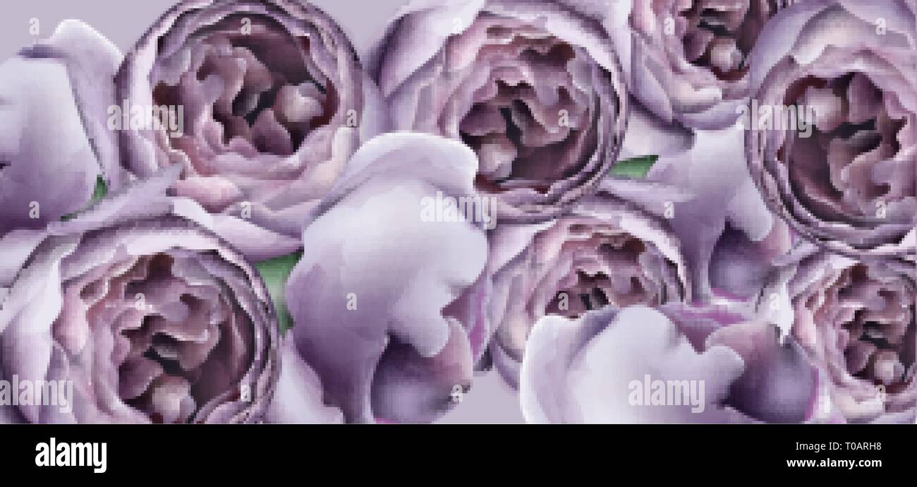 Lila pfingstrose Blumen Hintergrund aquarell Vektor. Romantische Blumenmuster Einladung oder Grußkarte Dekoration. Tag der Frau, Valentinstag, Vertrieb und andere Stock Vektor