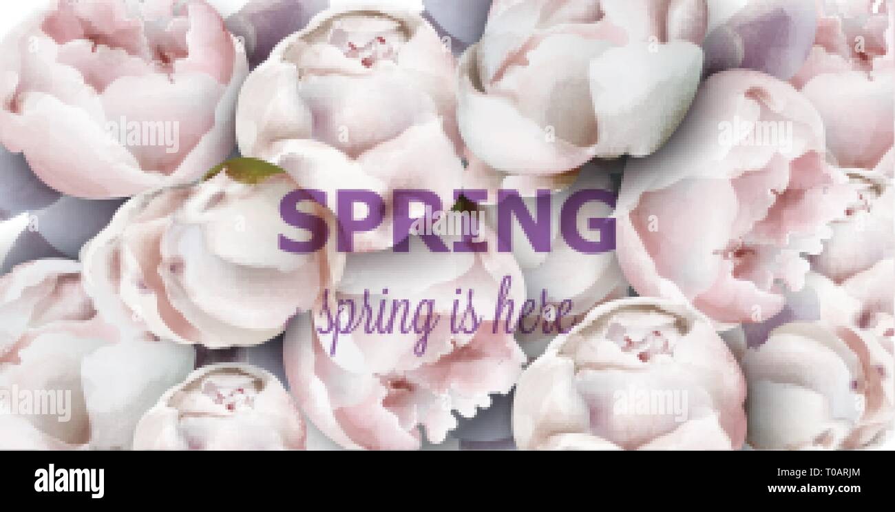 Pfingstrose Blumen Frühling Hintergrund aquarell Vektor. Romantische Blumenmuster Einladung oder Grußkarte Dekoration. Tag der Frau, Valentinstag, Vertrieb und andere Stock Vektor