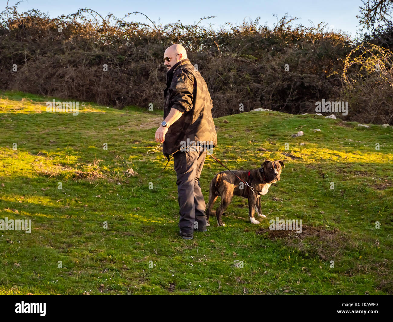 Eine starke erwachsenen Mann in Uniform mit einem jungen Hund der Rasse American Staffordshire in der Landschaft im Frühling gekleidet Stockfoto