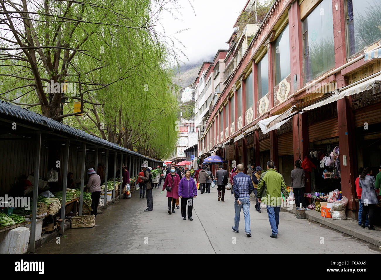 Obst und Gemüse Street Market in Kangding, einer kleinen Grenzstadt zwischen Tibet und China, Sichuan, China Stockfoto