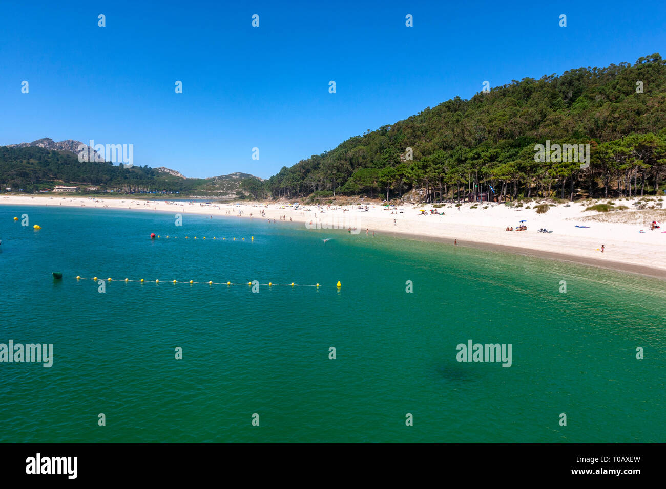 Playa de Rodas, malerischen Crescent mit feinem weißen Sand, türkisfarbenes Wasser unterstützt durch Dünen und Pinien, Cies Inseln, Ria de Vigo, Spanien Stockfoto