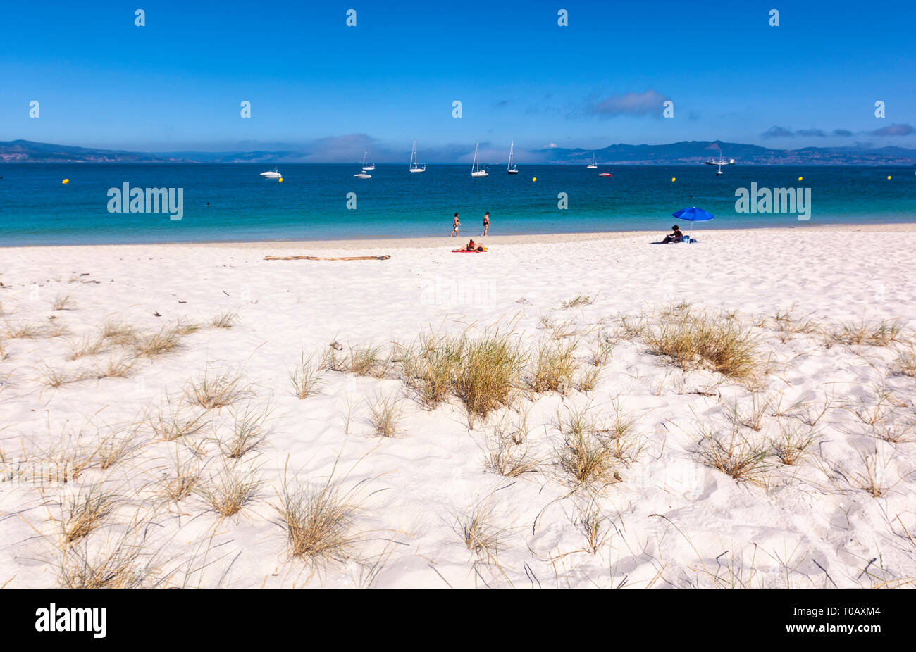 Playa de Rodas, malerischen Crescent mit feinem weißen Sand, türkisfarbenes Wasser unterstützt durch Dünen und Pinien, Cies Inseln, Ria de Vigo, Spanien Stockfoto