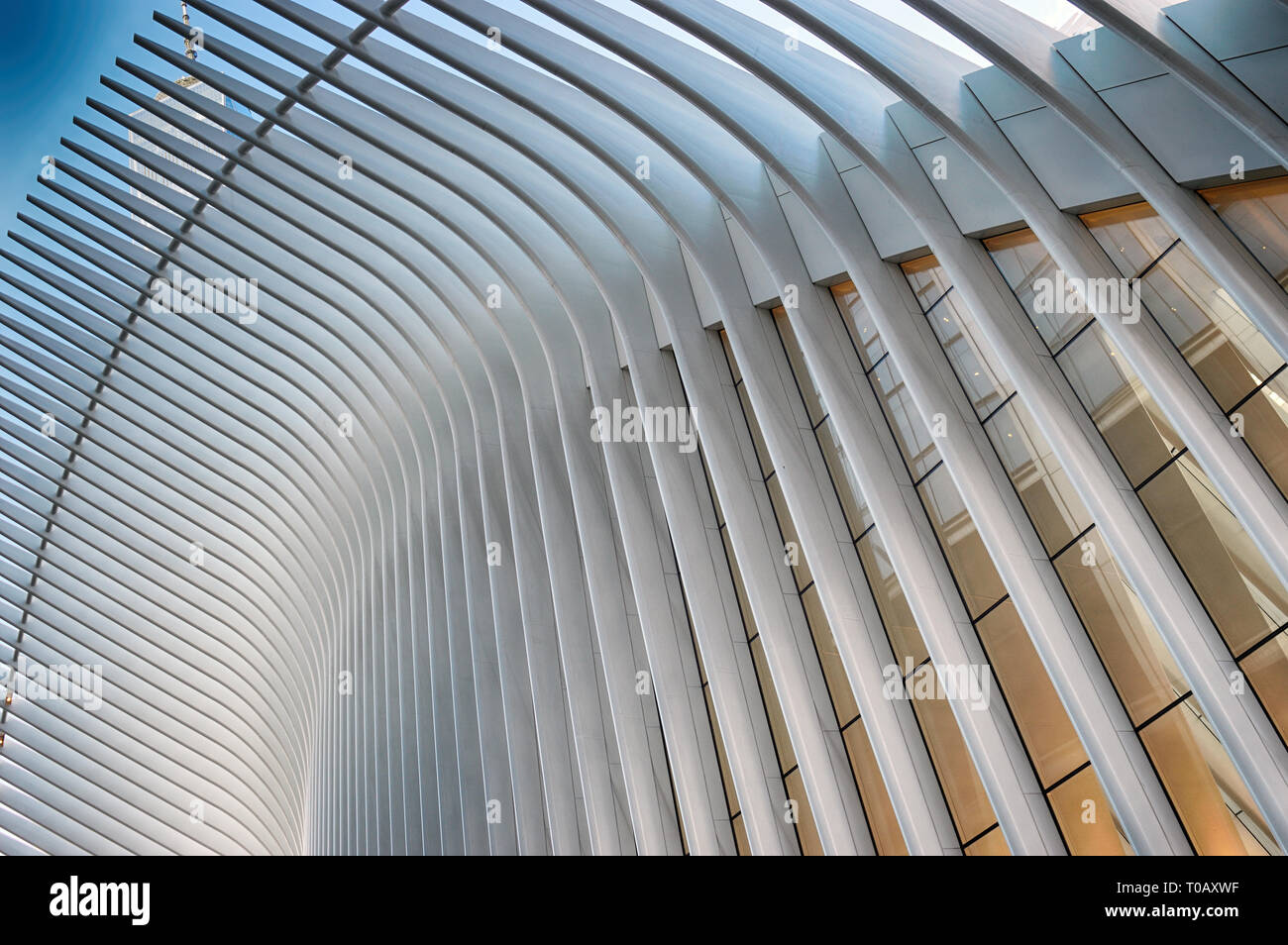 World Trade Center - Fragment von Oculus. Stockfoto