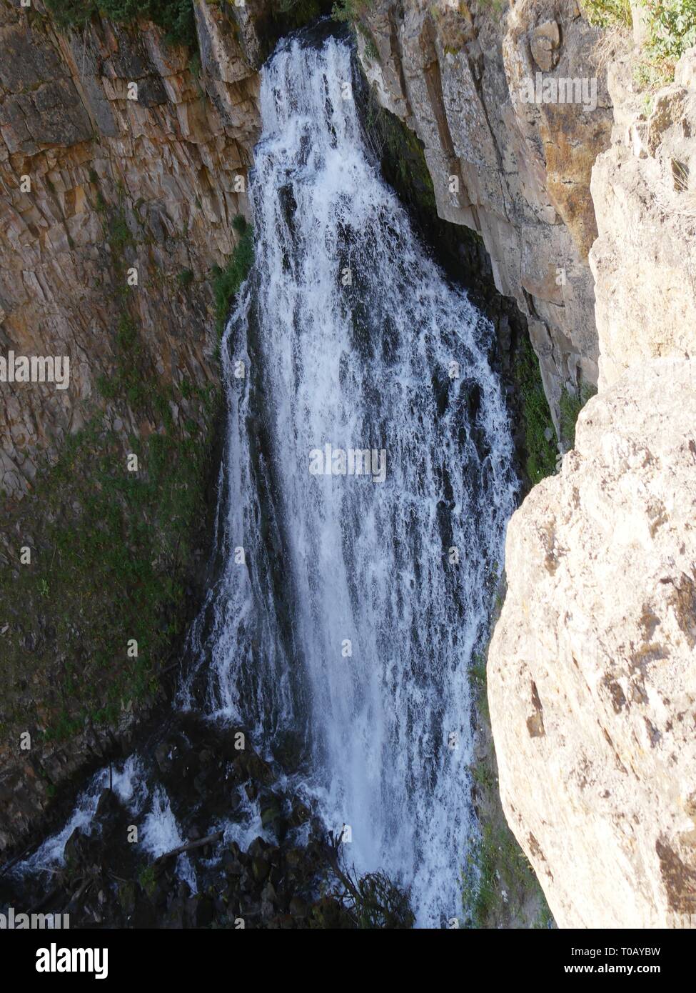 Nach Ansicht der Gibbons fällt im Yellowstone National Park. Stockfoto
