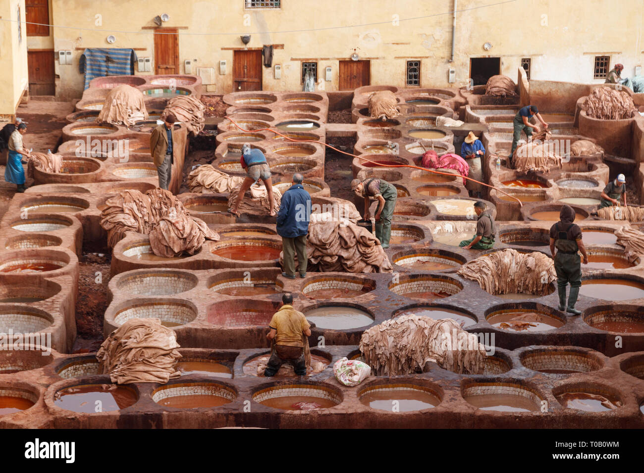 Arbeiter produzieren und Färben von Leder in traditioneller Weise an der Chouara Gerberei. Fez, Marokko Stockfoto