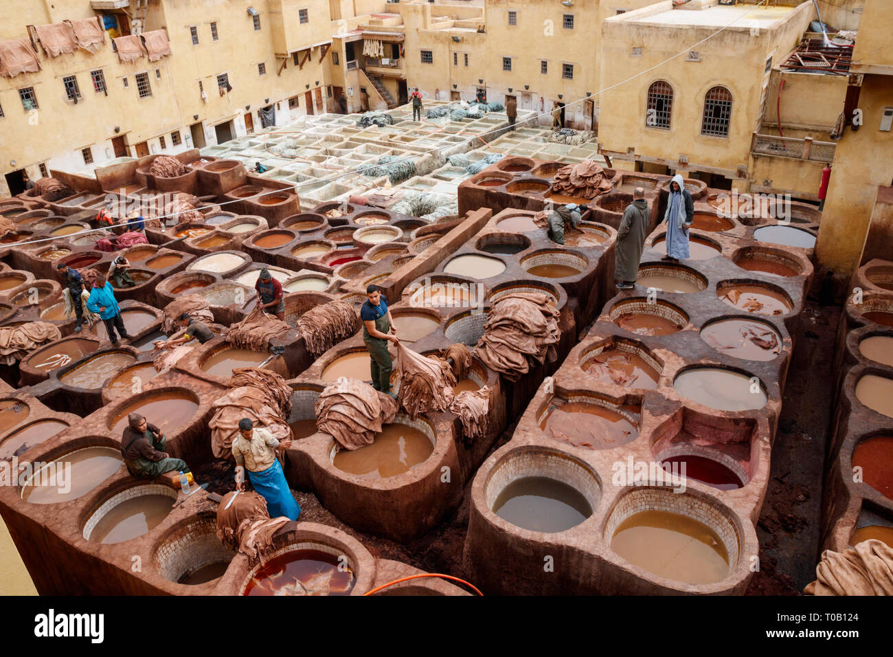 Arbeiter produzieren und Färben von Leder in traditioneller Weise an der Chouara Gerberei. Fez, Marokko Stockfoto