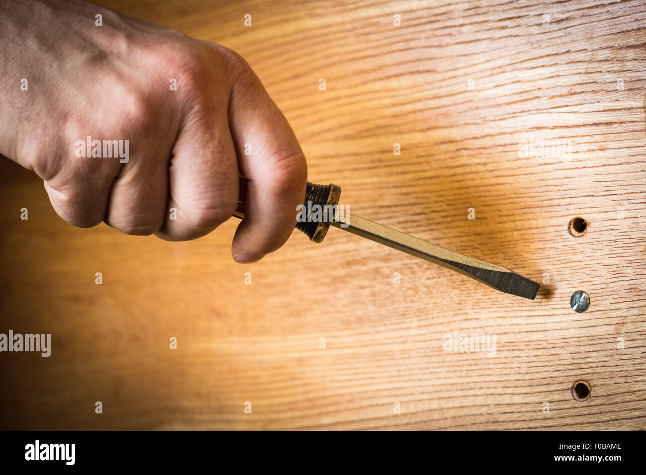 Schraubendreher bereit Senkkopfschraube in fertigen Board zu drehen; der Handy man Hand und Holzmaserung bietet. Stockfoto