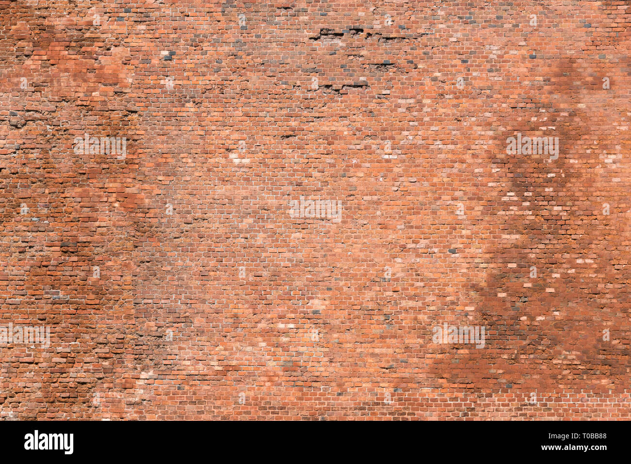 Die alte Mauer mit vielen Steinen Stockfoto