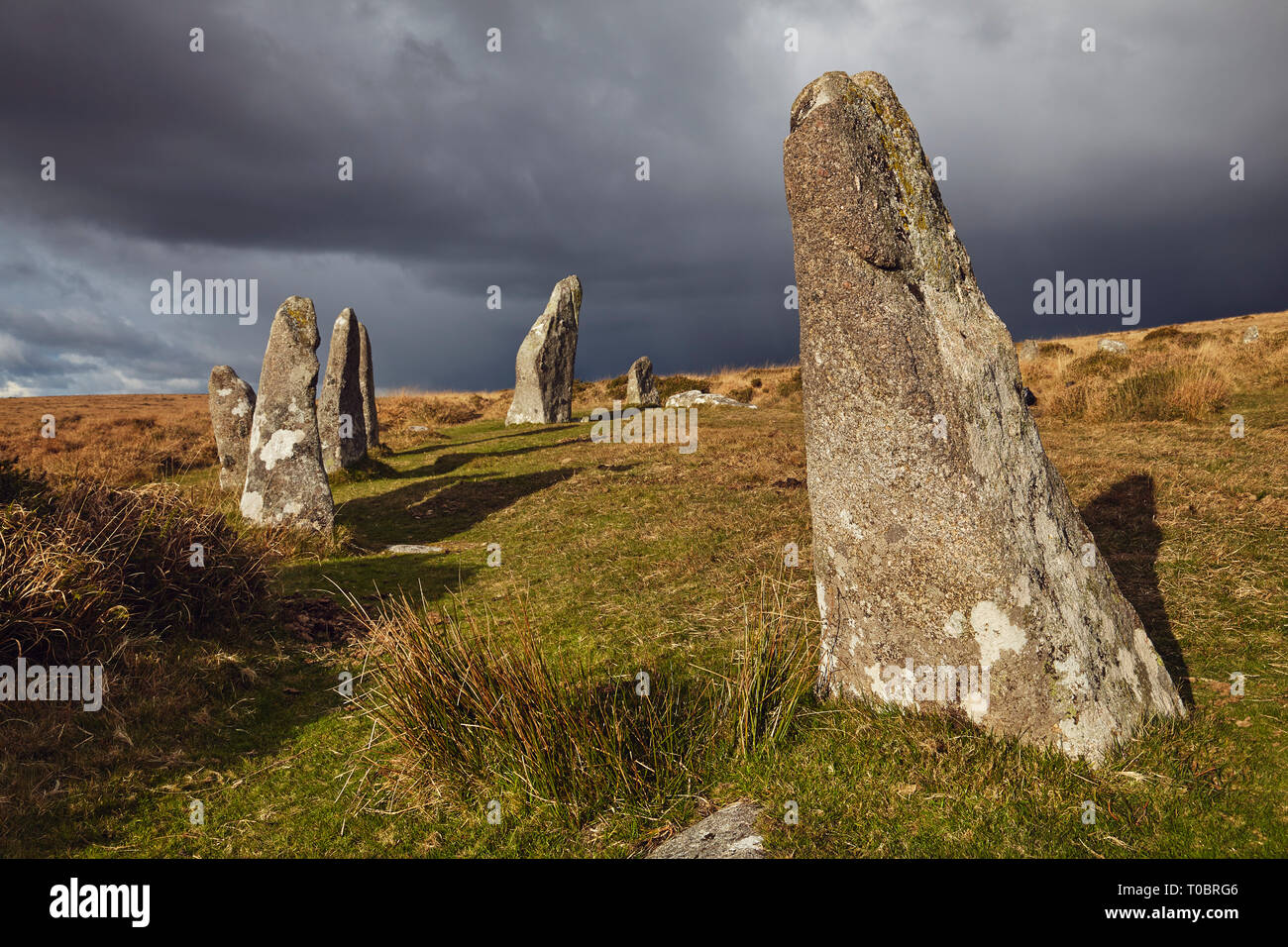 Standing Stones an der alten Scorhill Stone Circle, auf Gidleigh Gemeinsame, Nationalpark Dartmoor, Devon, Großbritannien. Stockfoto