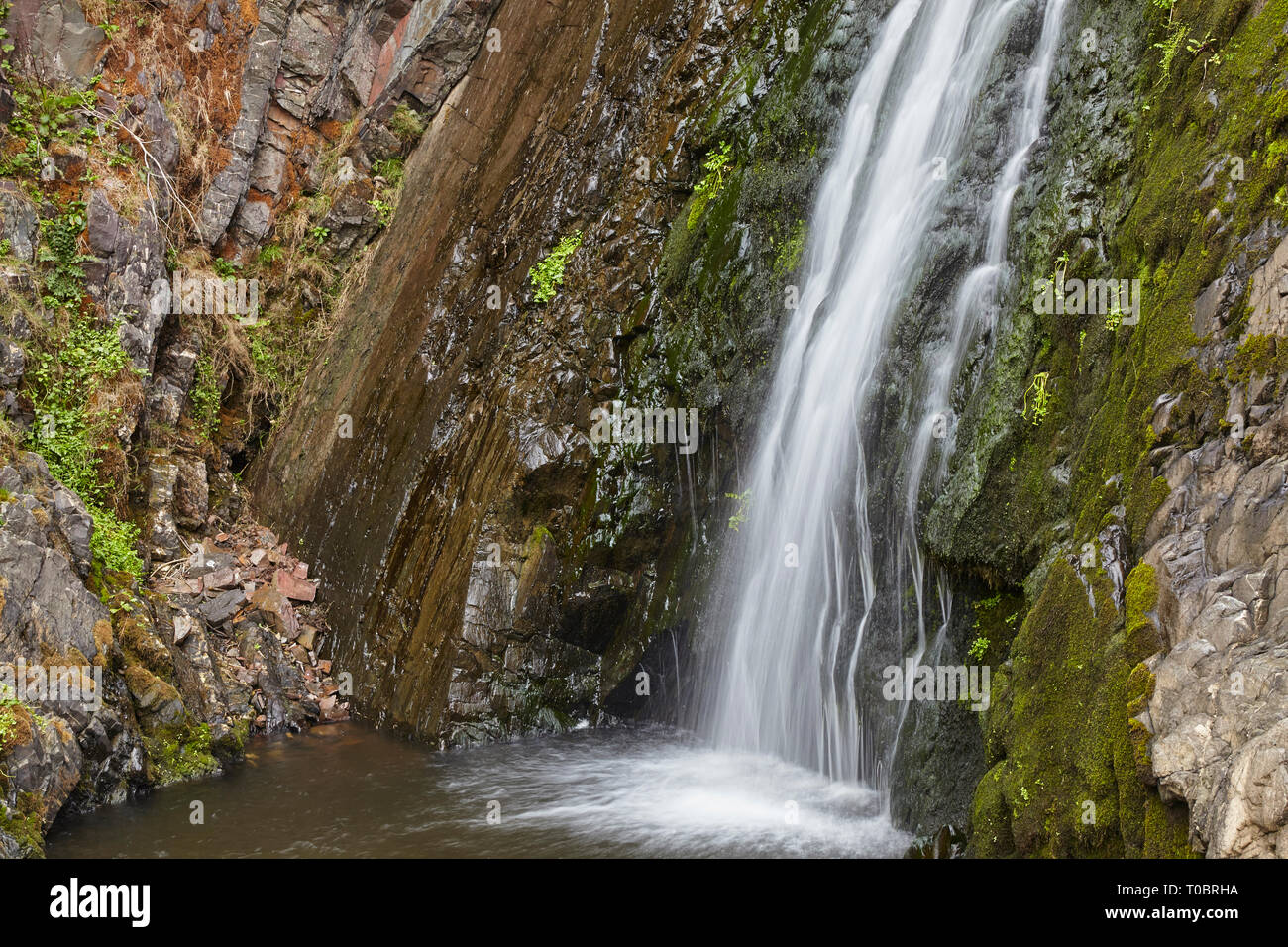 Wasserfall in einem Wasserfall an der Speke Mühle Mund, Hartland Quay, North Devon, Großbritannien. Stockfoto