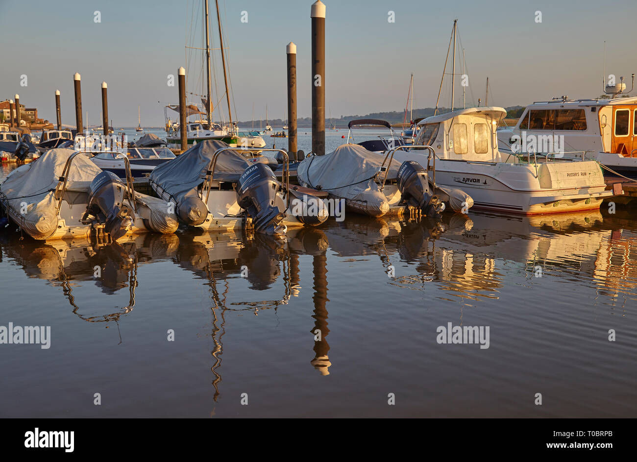Angelegte Boote in der Abendsonne, an Pontons im Hafen von Brunswick, an der Mündung des Flusses Exe, in der Nähe von Exeter, Devon, Großbritannien. Stockfoto