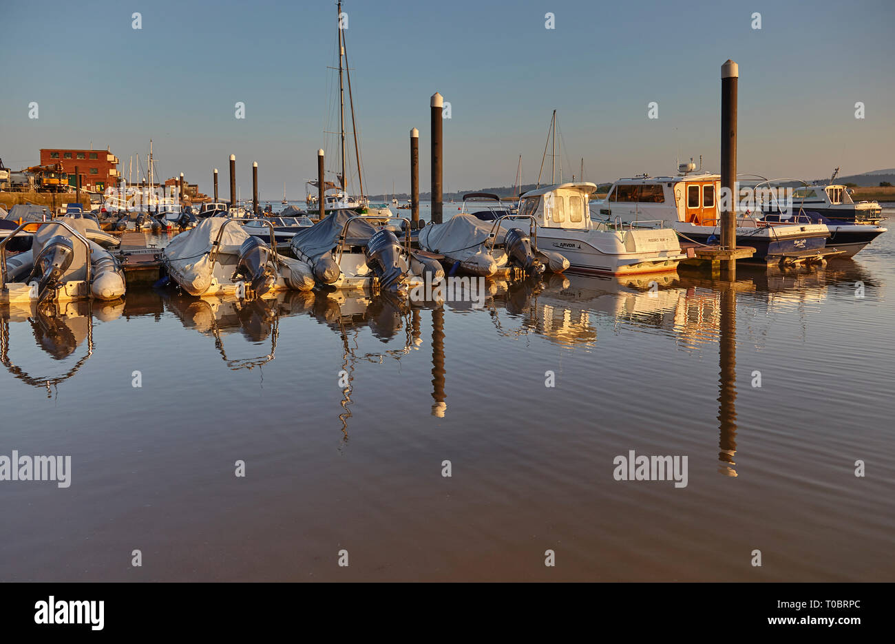 Angelegte Boote in der Abendsonne, an Pontons im Hafen von Brunswick, an der Mündung des Flusses Exe, in der Nähe von Exeter, Devon, Großbritannien. Stockfoto