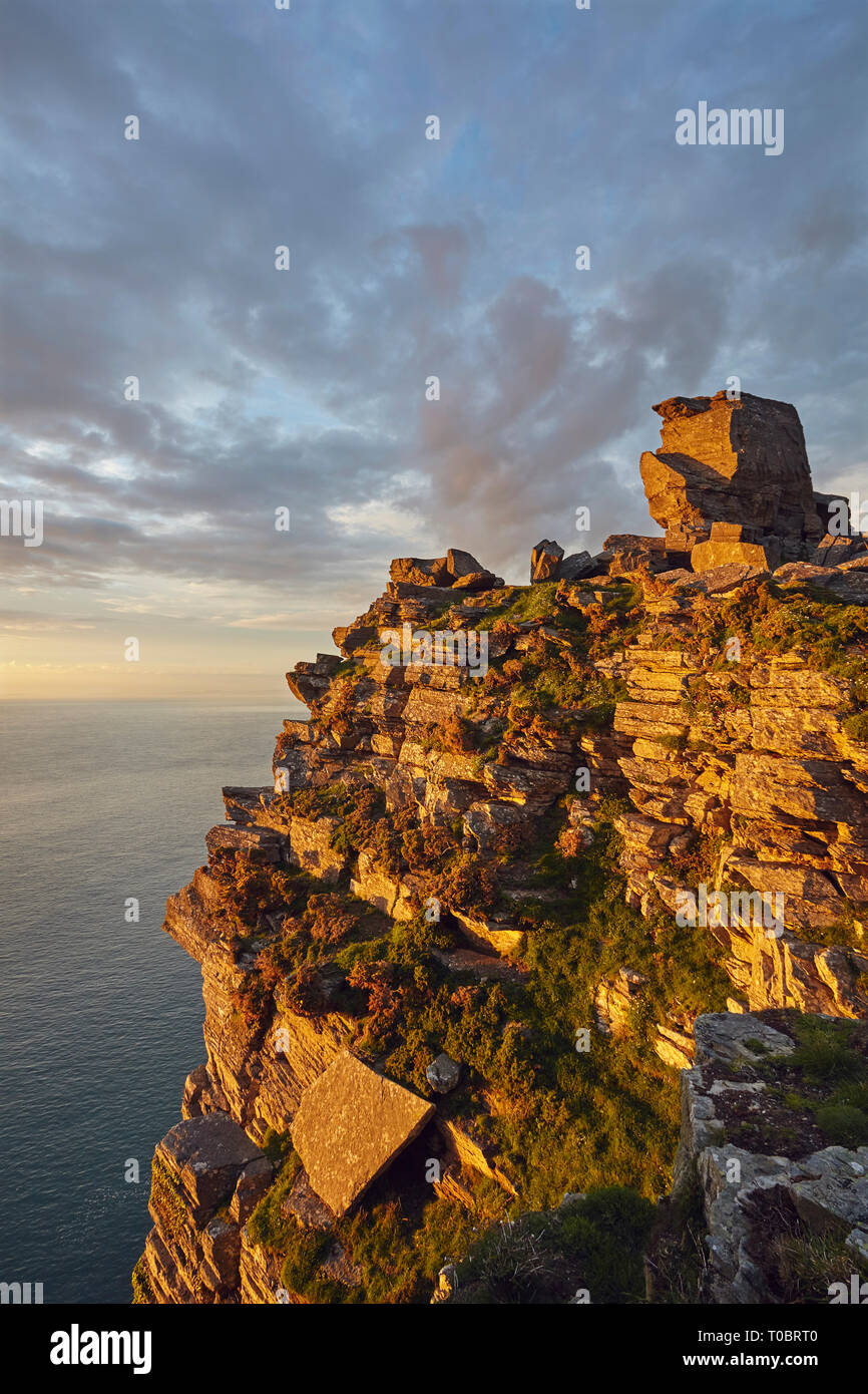 Abendsonne leuchtet Steilküsten; im Tal der Felsen, in der nähe von Lynton, Exmoor National Park, Devon, im Südwesten von England, Großbritannien. Stockfoto