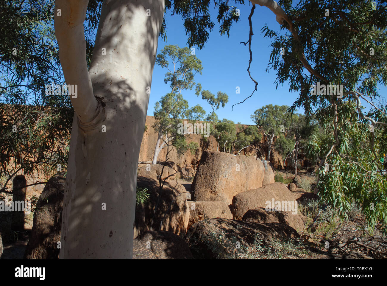 DINOSAUR CANYON, die Australische Zeitalter der Dinosaurier Museum für Naturkunde, Winton, Queensland, Australien. Stockfoto