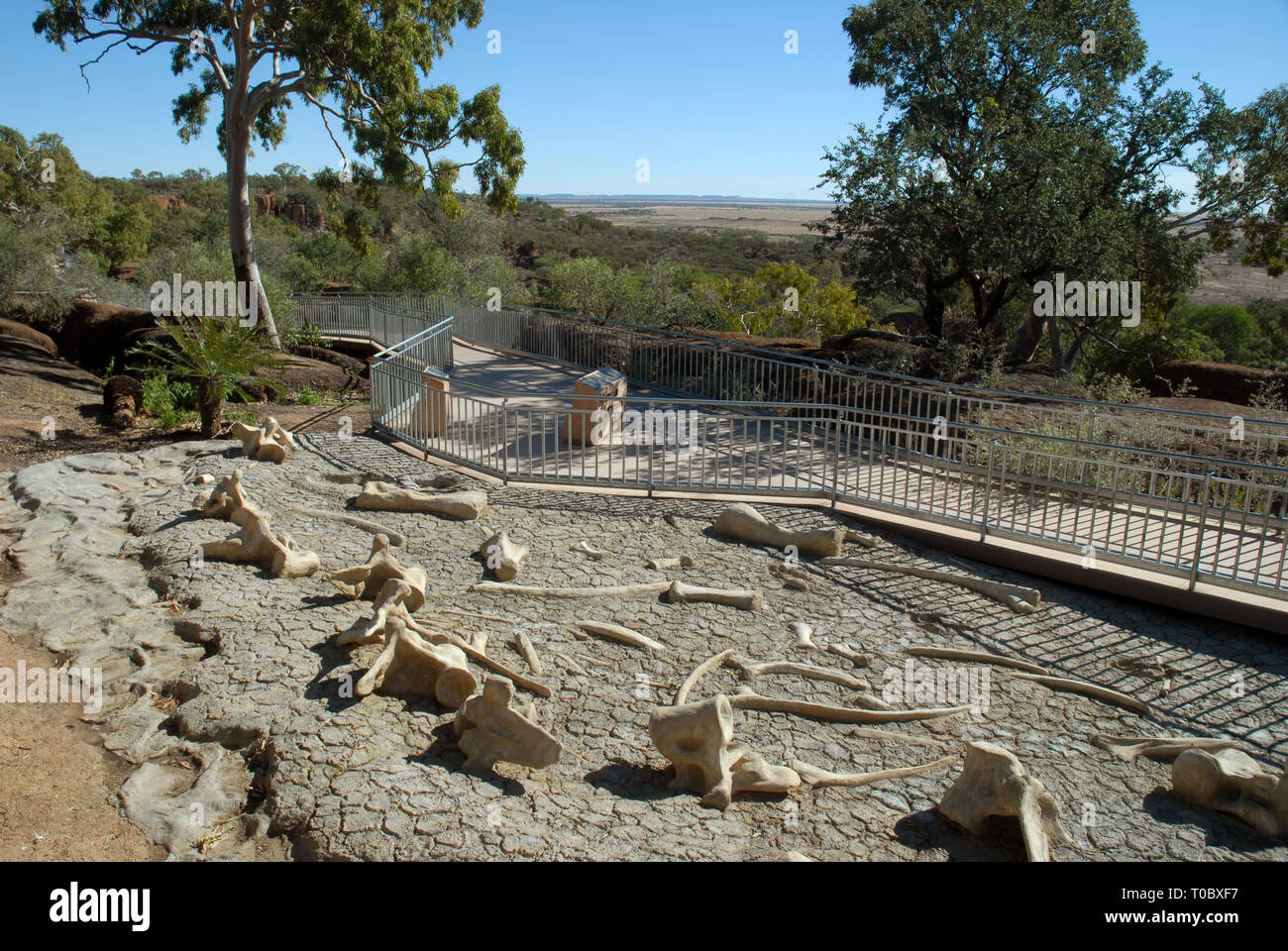 DINOSAUR CANYON, die Australische Zeitalter der Dinosaurier Museum für Naturkunde, Winton, Queensland, Australien. Stockfoto