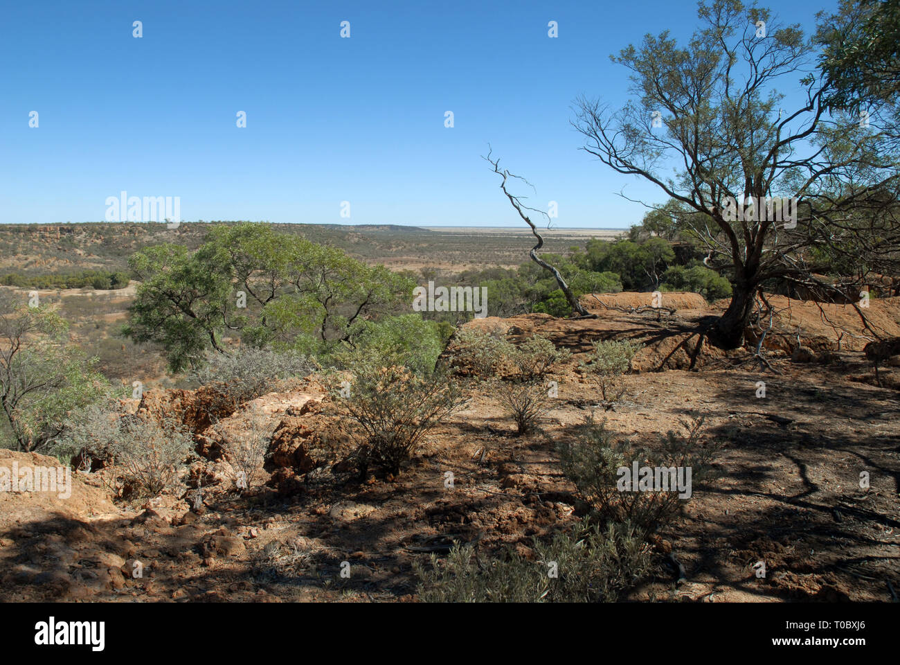 DINOSAUR CANYON, die Australische Zeitalter der Dinosaurier Museum für Naturkunde, Winton, Queensland, Australien. Stockfoto