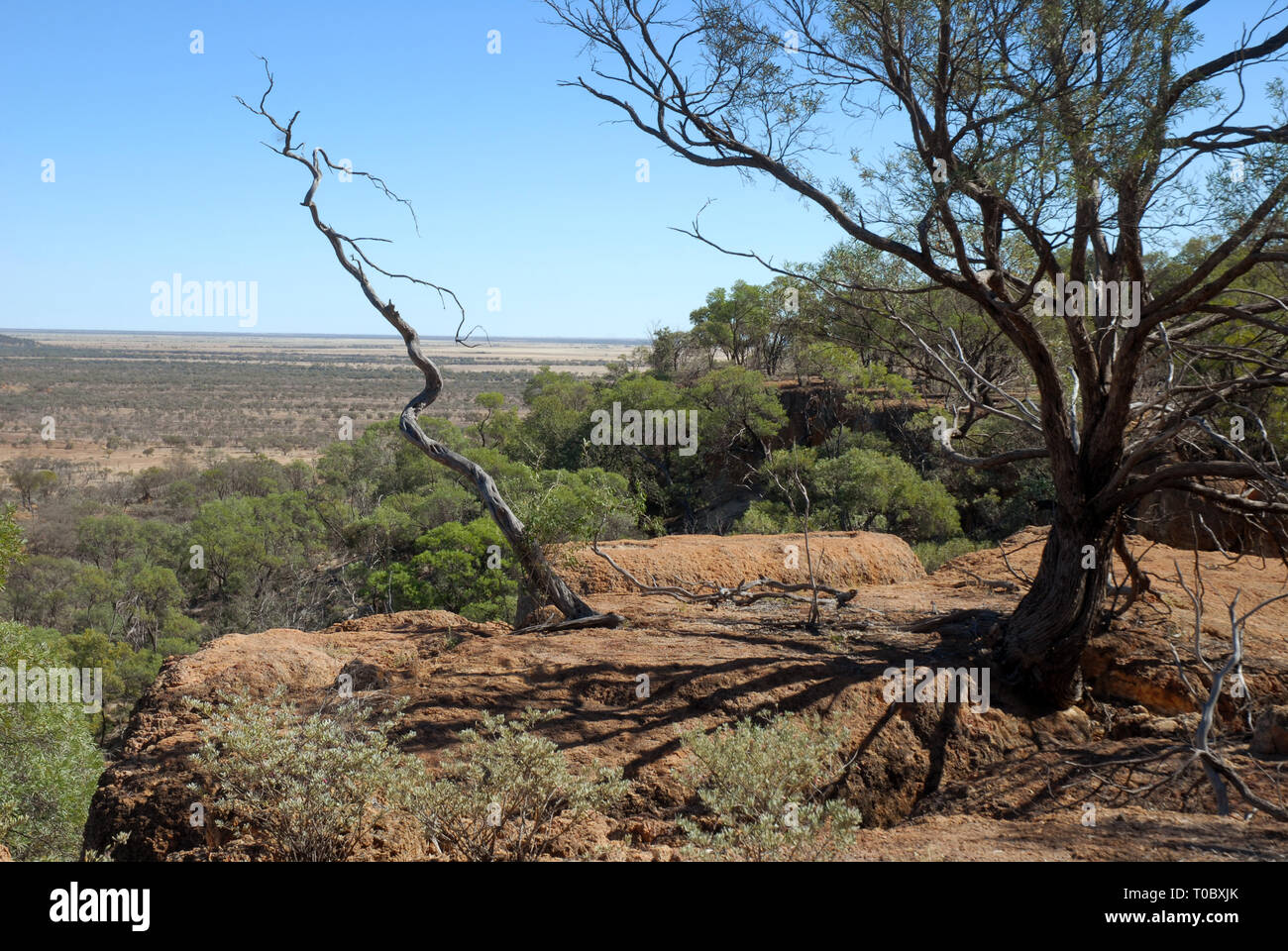 DINOSAUR CANYON, die Australische Zeitalter der Dinosaurier Museum für Naturkunde, Winton, Queensland, Australien. Stockfoto