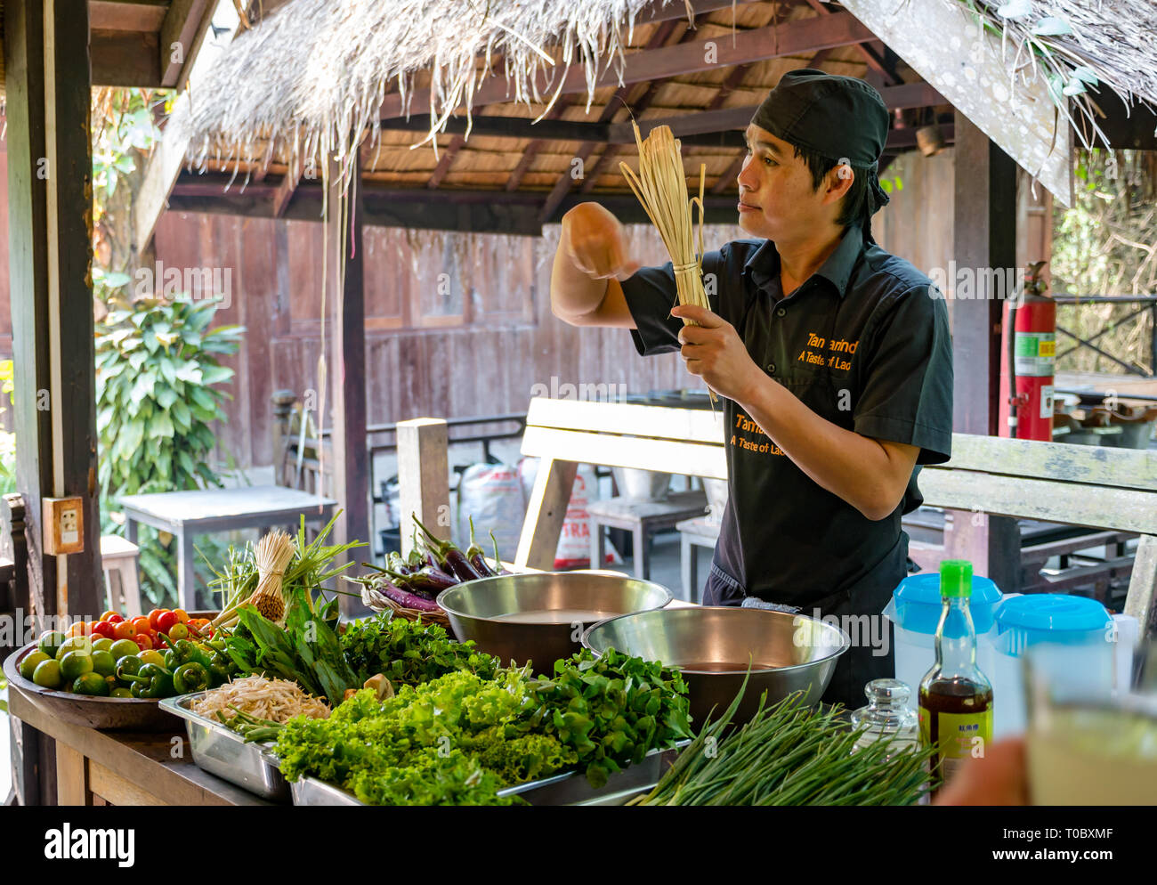 SE asiatischen Lao Kochkurs mit der Anweisung von Lao Küchenchef im Tamarind Kochschule, Luang Prabang, Laos Stockfoto