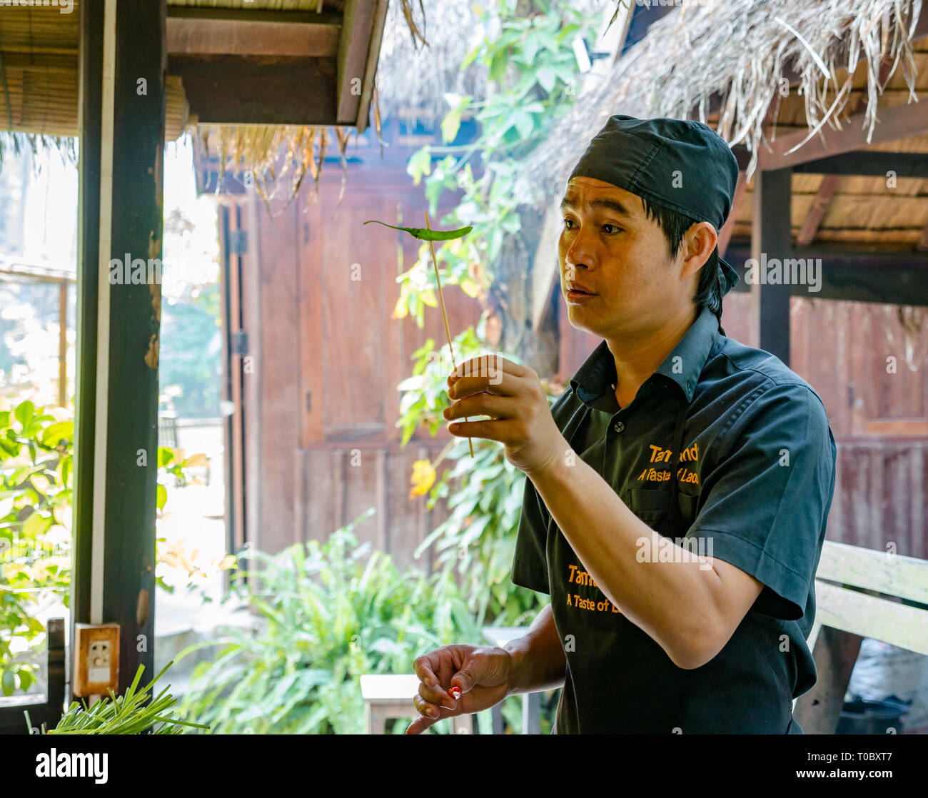 SE asiatischer Kochkurs mit der Anweisung von Lao Küchenchef im Tamarind Kochschule, Luang Prabang, Laos Stockfoto