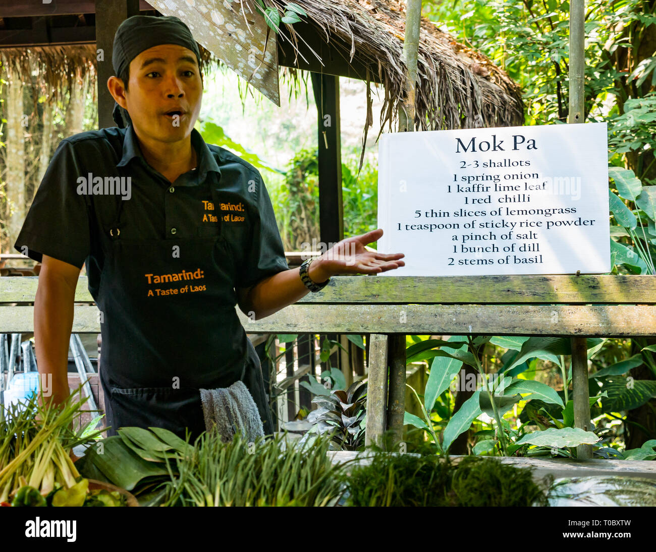 SE asiatischen Lao Kochkurs mit der Anweisung von Lao Koch Rezept für Mok Pa gedünsteter Fisch, Tamarind Kochschule, Luang Prabang, Laos Stockfoto