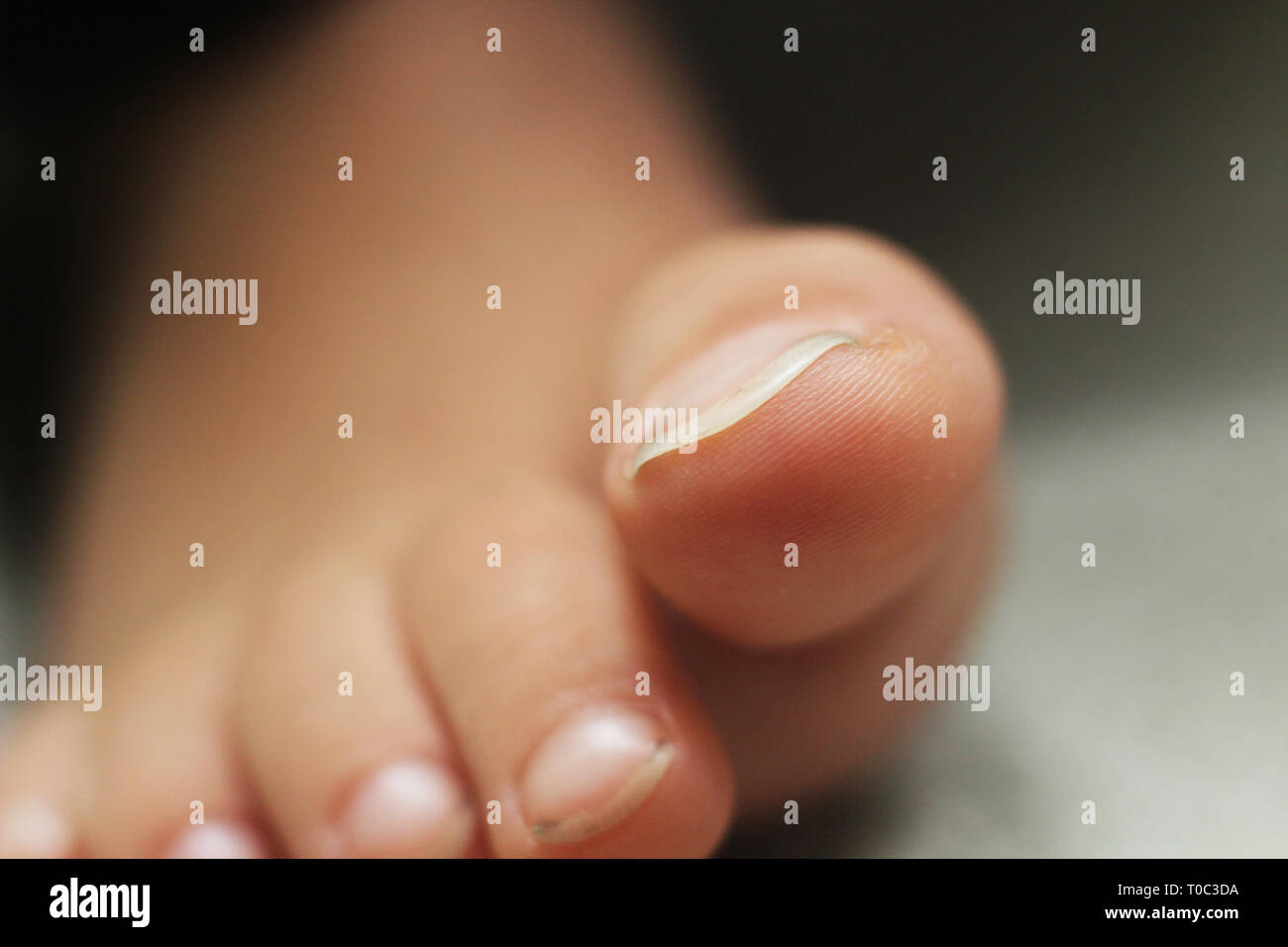 Baby Finger und Zehen. Stockfoto