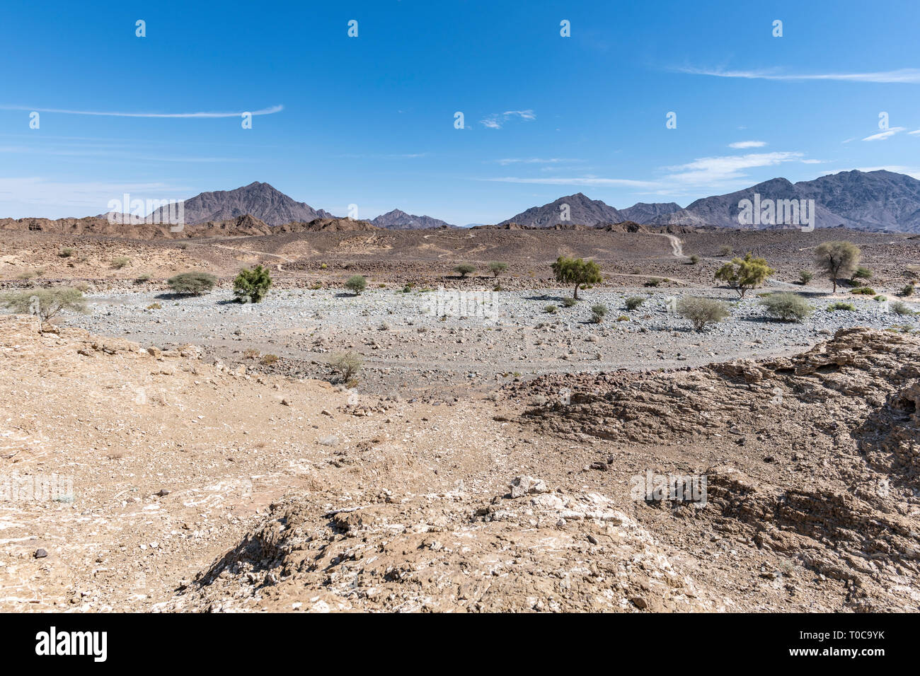 Aride Berge, Wüstenlandschaft Stockfoto