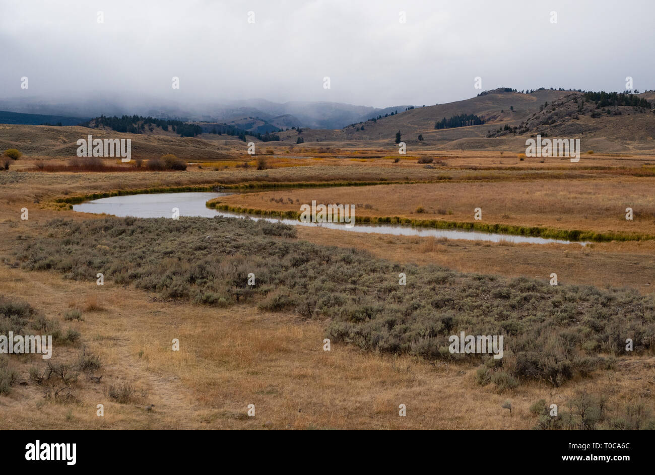 Die Lamar Fluss, der durch die Lamar Valley in Yellowstone Mitgliedstats Park im Herbst mit Wolken Overhead. Stockfoto