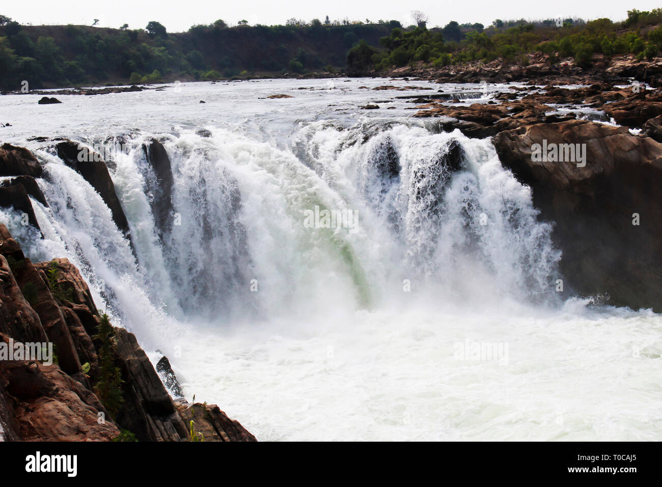 Dhuandar Wasserfälle, Bhedaghat, Jabalur, Madhyapradesh, Indien. Stockfoto