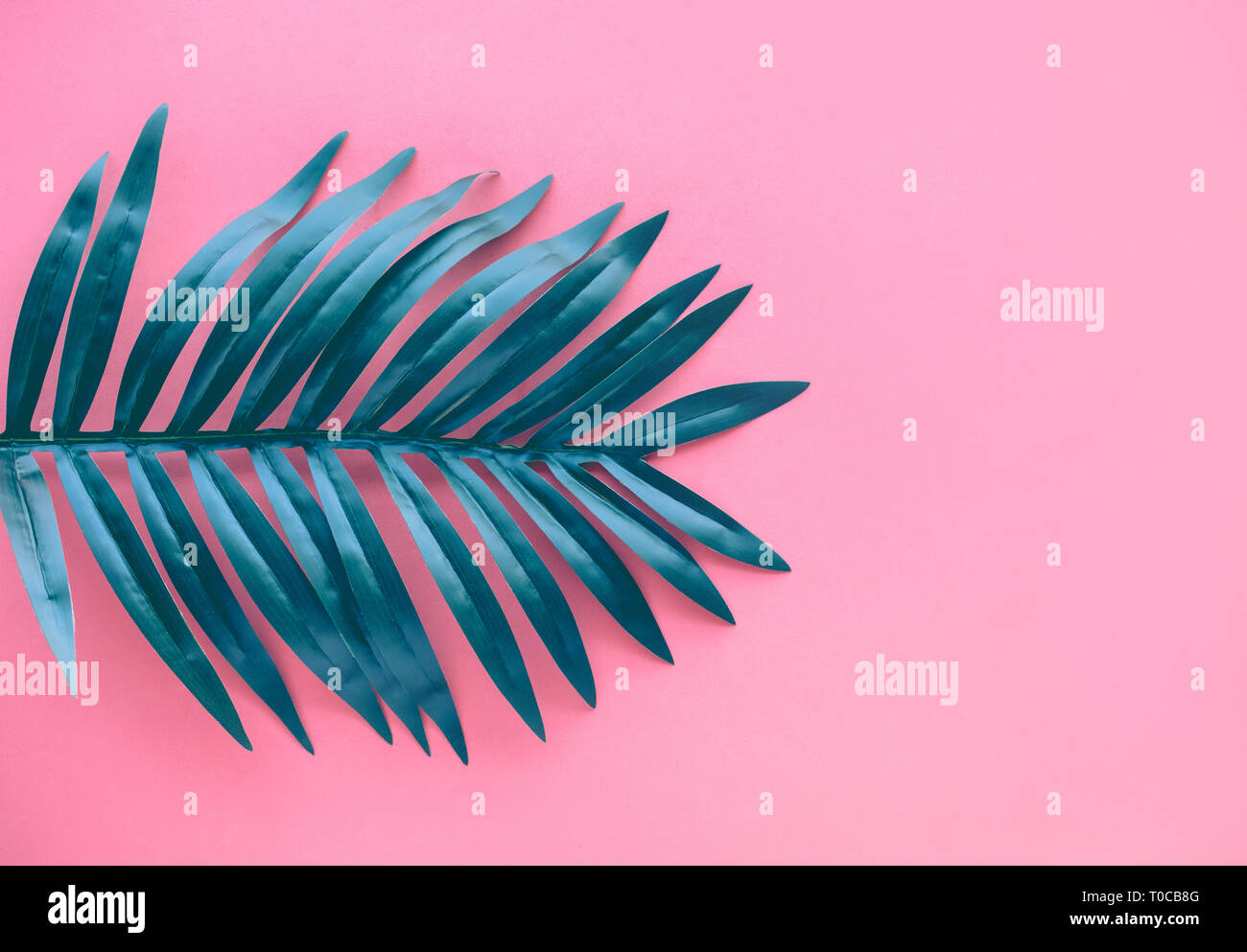 Download Tropische dekoration idee Desktop Wallpaper