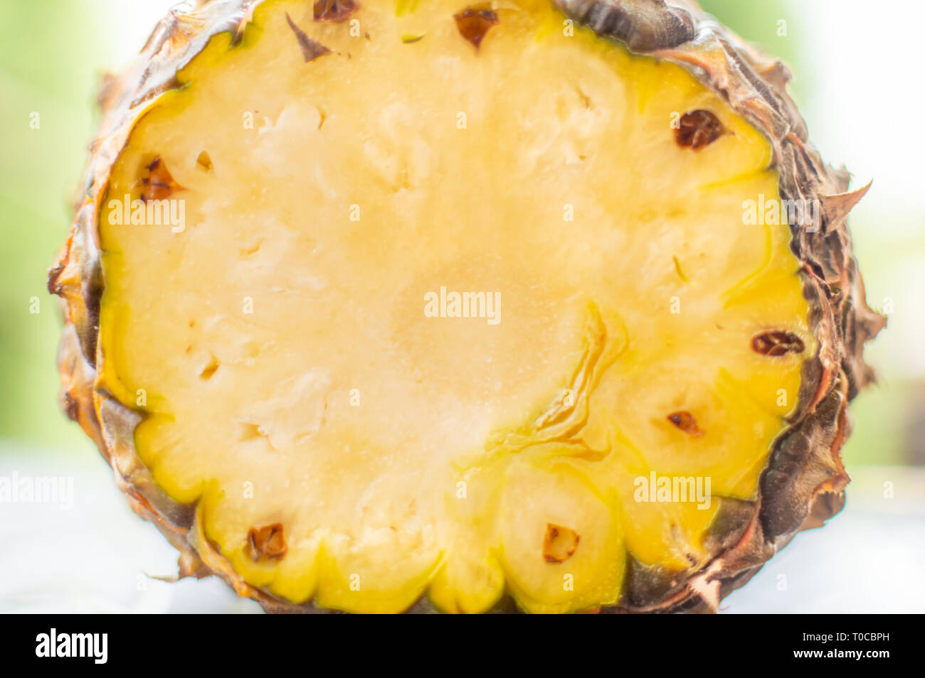 Scheibe eine ganze Ananas frisch gehackt und Reifen Stockfoto