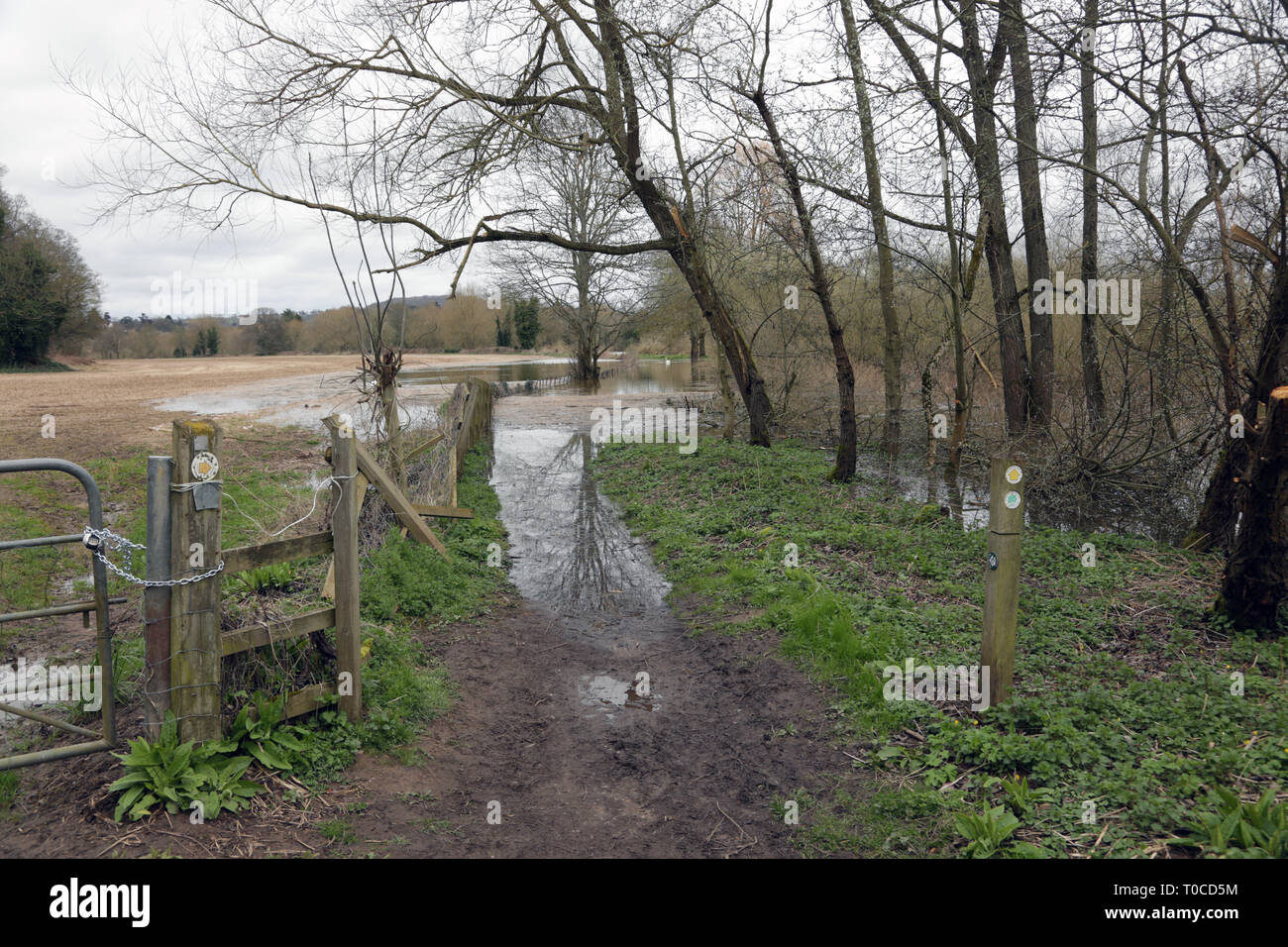 Überfluteten Fußweg neben dem Fluss Severn in der Nähe von Kranichfeld, Worcestershire, England, UK. Stockfoto