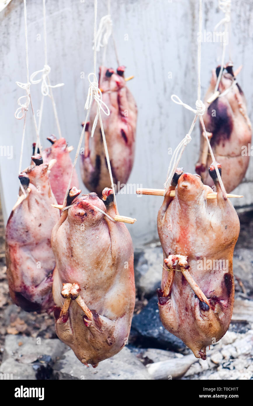 Wilde Gänse kochen, traditionellen indigenen Methode, Northern Quebec, Kanada Stockfoto