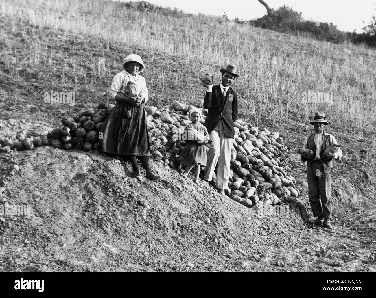 Italien, Kampanien, Benevento, Landwirtschaft, 1910-1920 Stockfoto