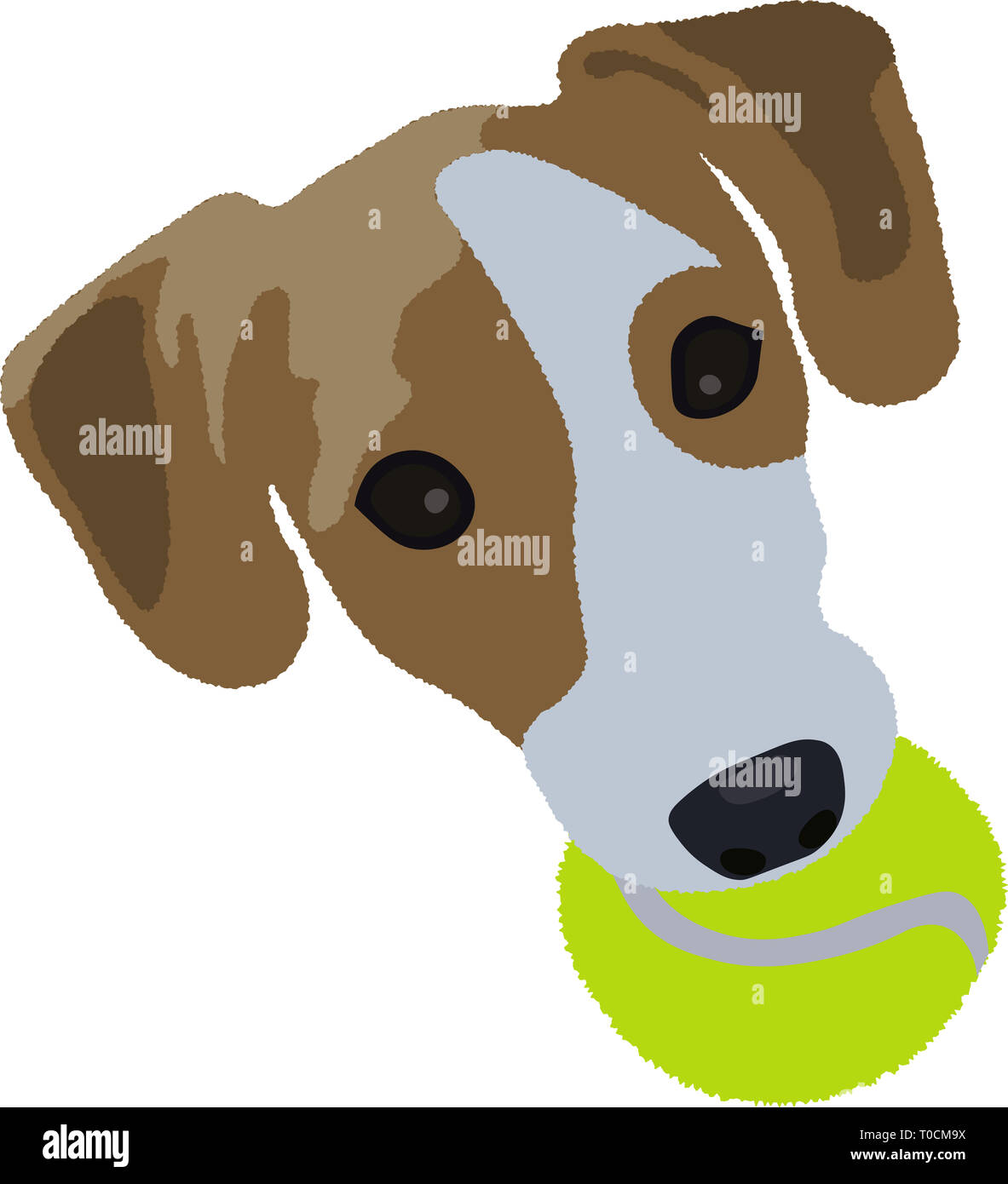 Nette Illustration eines Jack Russel mit einem Tennisball im Mund Stockfoto