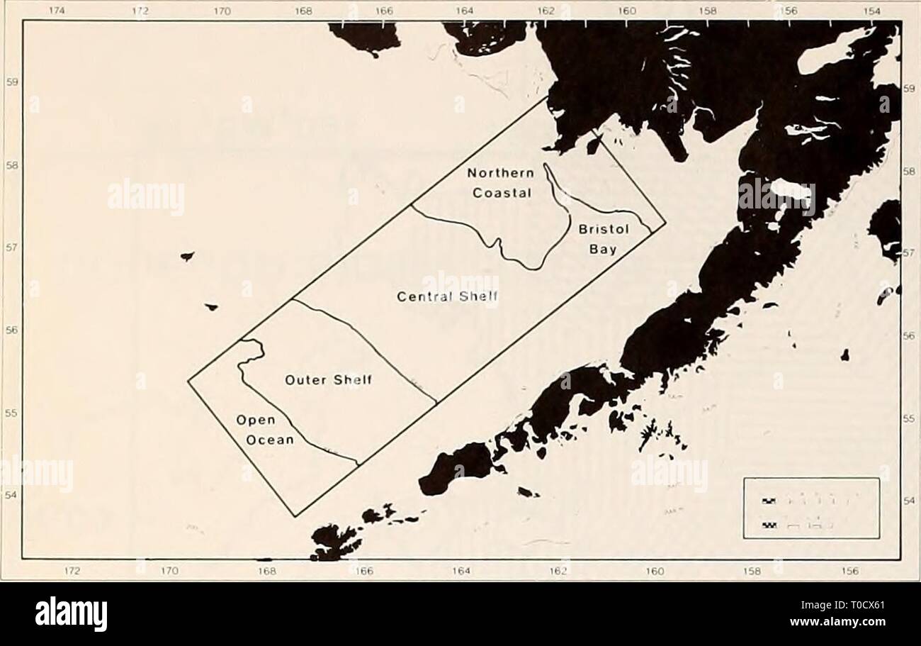 Die östliche Beringmeer Regal der Östlichen Beringmeer Regal: Ozeanographie und Ressourcen/von Donald W. Haube und John A. Calder easternberingsea 00 Haube Jahr bearbeitet: 1981 950 Planktonökologie Abbildung 57-3. Der Bereich der Probenahme und seine Aufteilung in bathiymetric Domains. Die Schätzungen der sekundäre Produktion, die hier präsentiert werden, die aus der Literatur und aktuelle un-veröffentlichten experimentellen Untersuchungen im Südosten Bering Meer genommen. (Siehe Anhang 57 - III für eine Diskussion über die Methoden und Grenzen der direkten des Autors meas-urements der Teilchen verschlucken und Berechnungen der CO2-Wachstum der Produktion). Stockfoto