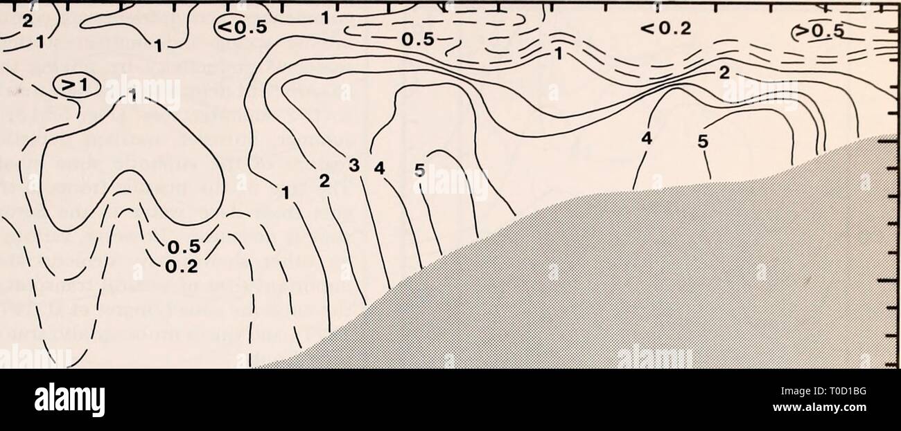 Die östliche Beringmeer Regal der Östlichen Beringmeer Regal: Ozeanographie und Ressourcen/von Donald W. Haube und John A. Calder easternberingsea 00 Haube Jahr bearbeitet: 1981 Nährstoffverteilung und Dynamik 983 Station I 50 £ 100 ein. Q) Q 150 - 200 40 41 42 43 44 45 46 47 48 49 51 52 53 54 55 60 65 AMMONIUM (mq bei N/l) / 0 50 km i Abbildung 58-8. Ammonium (yug bei N/l) Querschnitt in der äußeren Bristol Bay südlich der Pribilof Inseln (SONDEN Thomas G. Thompson Kreuzfahrt 138 Bein 3, 29.-31. Mai 1979). bereits besprochen haben, bestätigen die langsame Regeneration von Nitrat im Beringmeer unterirdischen Gewässern. Die Stee Stockfoto