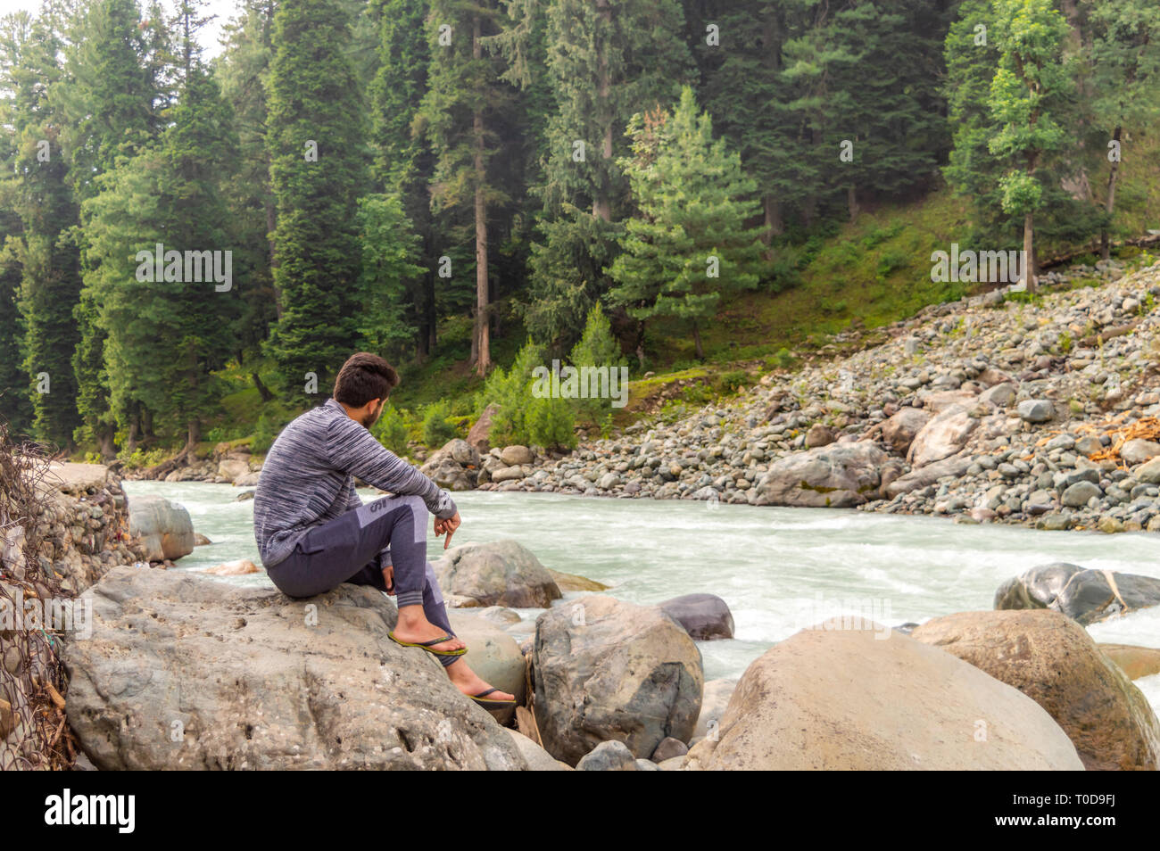 Eine Person auf einem Felsen vor einen Stream mit Wald im Hintergrund in Pahalgam in Kaschmir sitzen Stockfoto