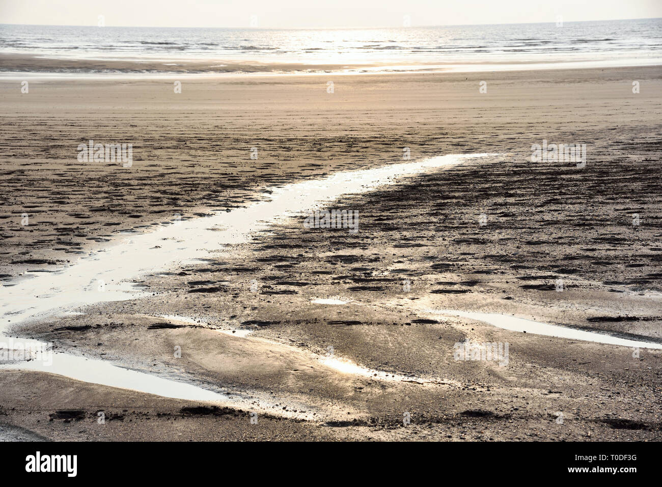 Sand Muster auf Strand bei Ebbe, bhagal Strand, Valsad, Gujarat, Indien, Asien Stockfoto
