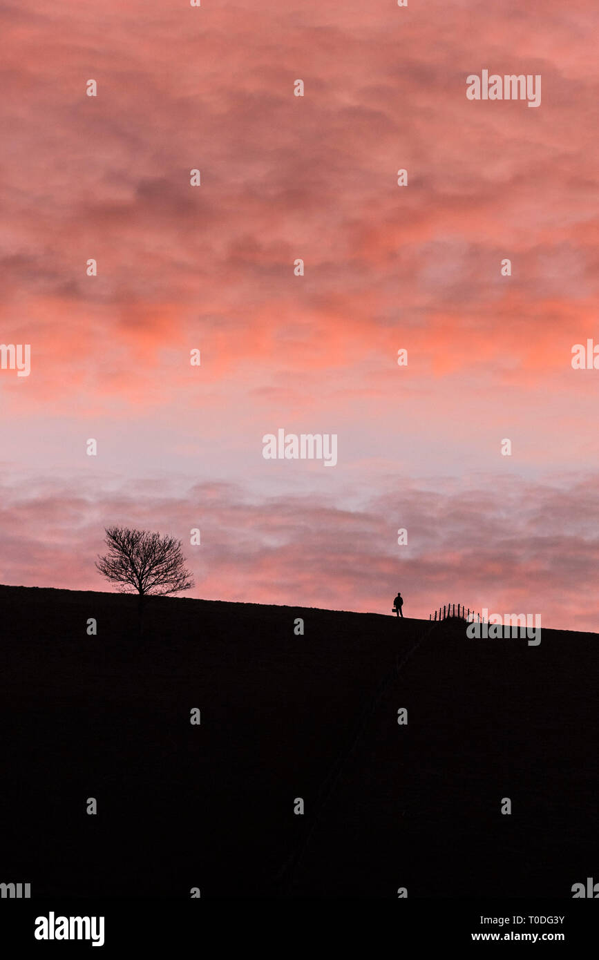 Die Abbildung einer Person, einem Baum und einem Zaun gegen die bunte Himmel bei Tagesanbruch in der Dorest Landschaft Silhouette. Stockfoto