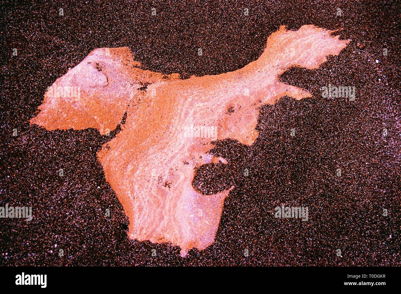 Flache Felsen und Sand am Meeresufer, Jhanjhmer, Gujarat, Indien, Asien Stockfoto