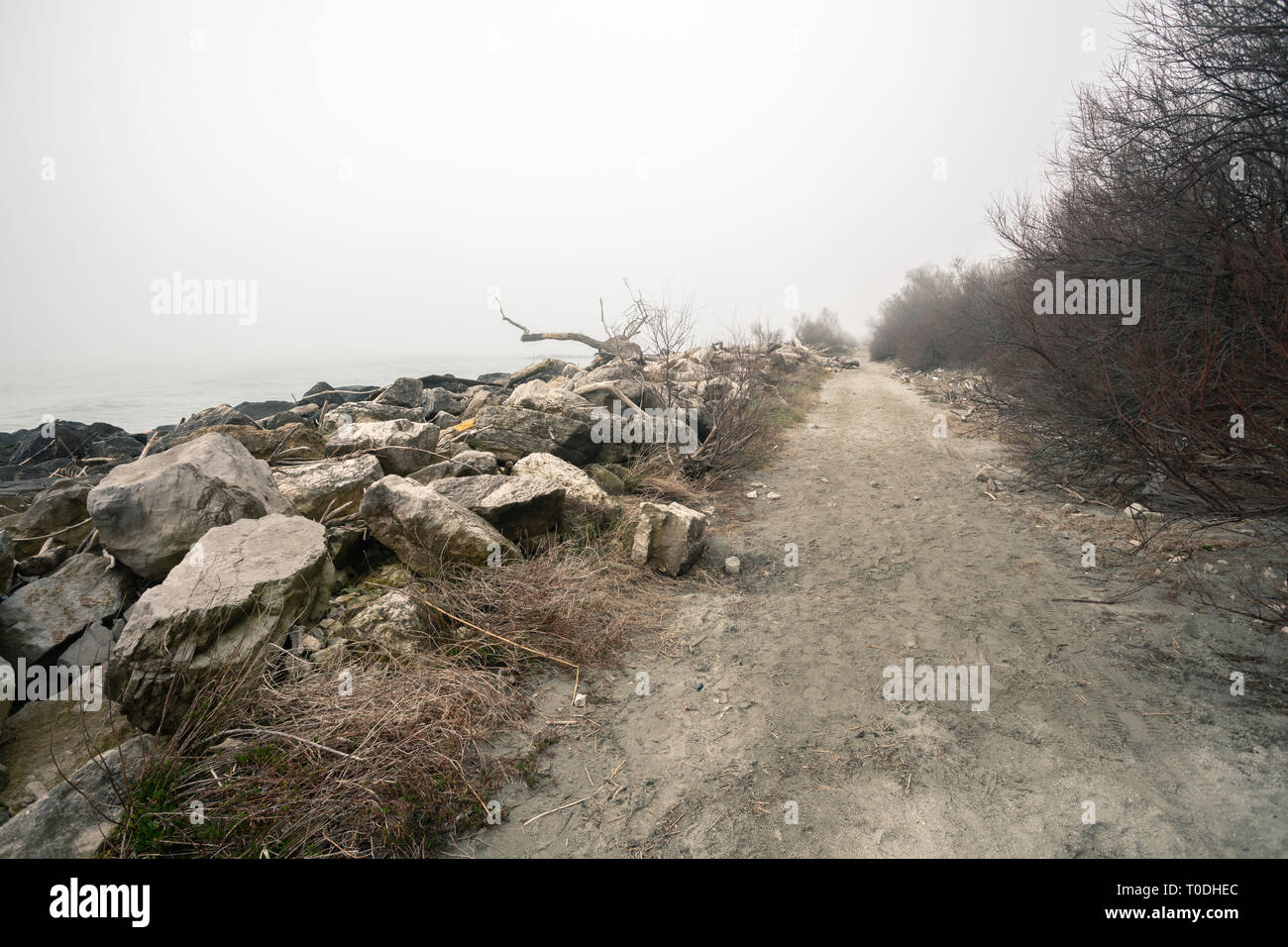 Delta del Po mit hölzernen Trunks und Kunststoffabfällen am Ufer des Flusses Po in Italien Stockfoto