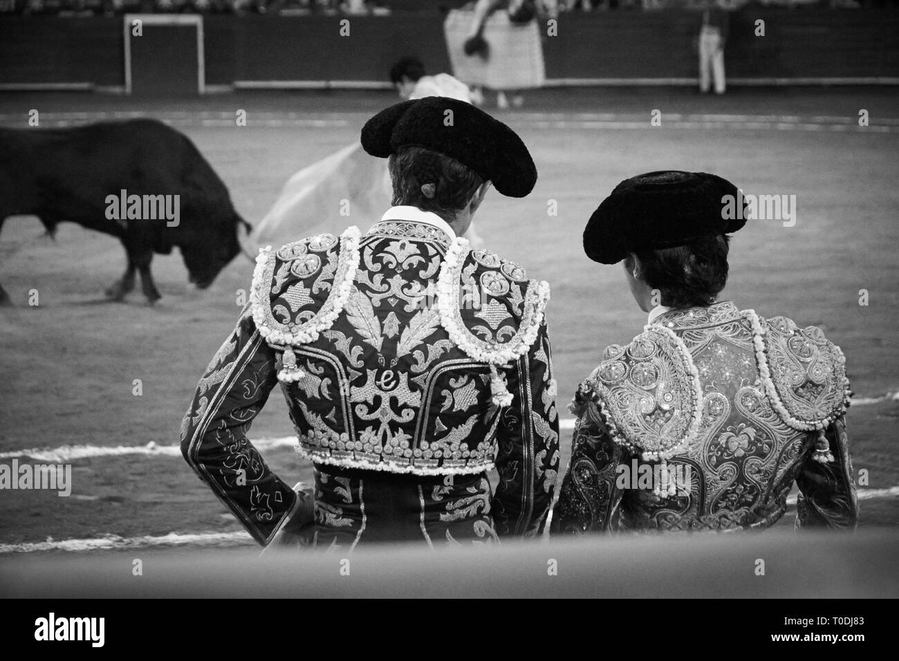 Manuel Escribano und Fabian Barba tragen traje de Luces oder der uit der Lichter" und ihre monsteras (die hat traditionell von vielen männlichen Stierkämpfer) Wie Sie sehen auf wie Victor Mora ein Stier in der Arena kämpft. Stockfoto