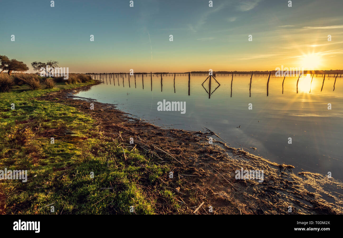 Einen schönen goldenen Sonnenuntergang am See. Die schöne Natur rund um. Stockfoto