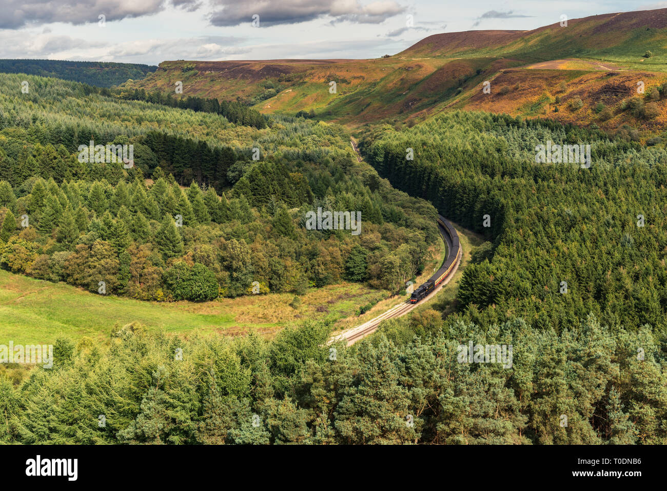 In der Nähe von Levisham, North Yorkshire, England, Großbritannien: 13. September 2018: Ein Zug der historischen North Yorkshire Moors Railway vorbei Newtondale, von S gesehen Stockfoto