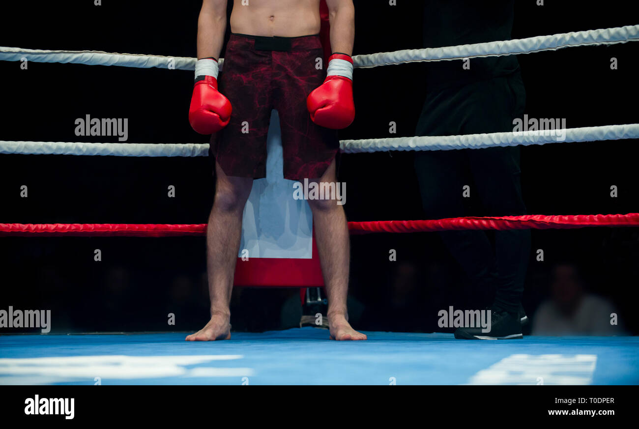 Die professionelle Boxer auf Preis ring Hintergrund isoliert. Fit muskulös kaukasischen Athleten kämpfen Stockfoto