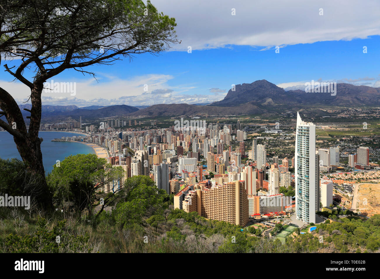 Die Don Jorge Ferienwohnung, Benidorm, Costa Blanca, Valencia, Spanien, Europa Stockfoto
