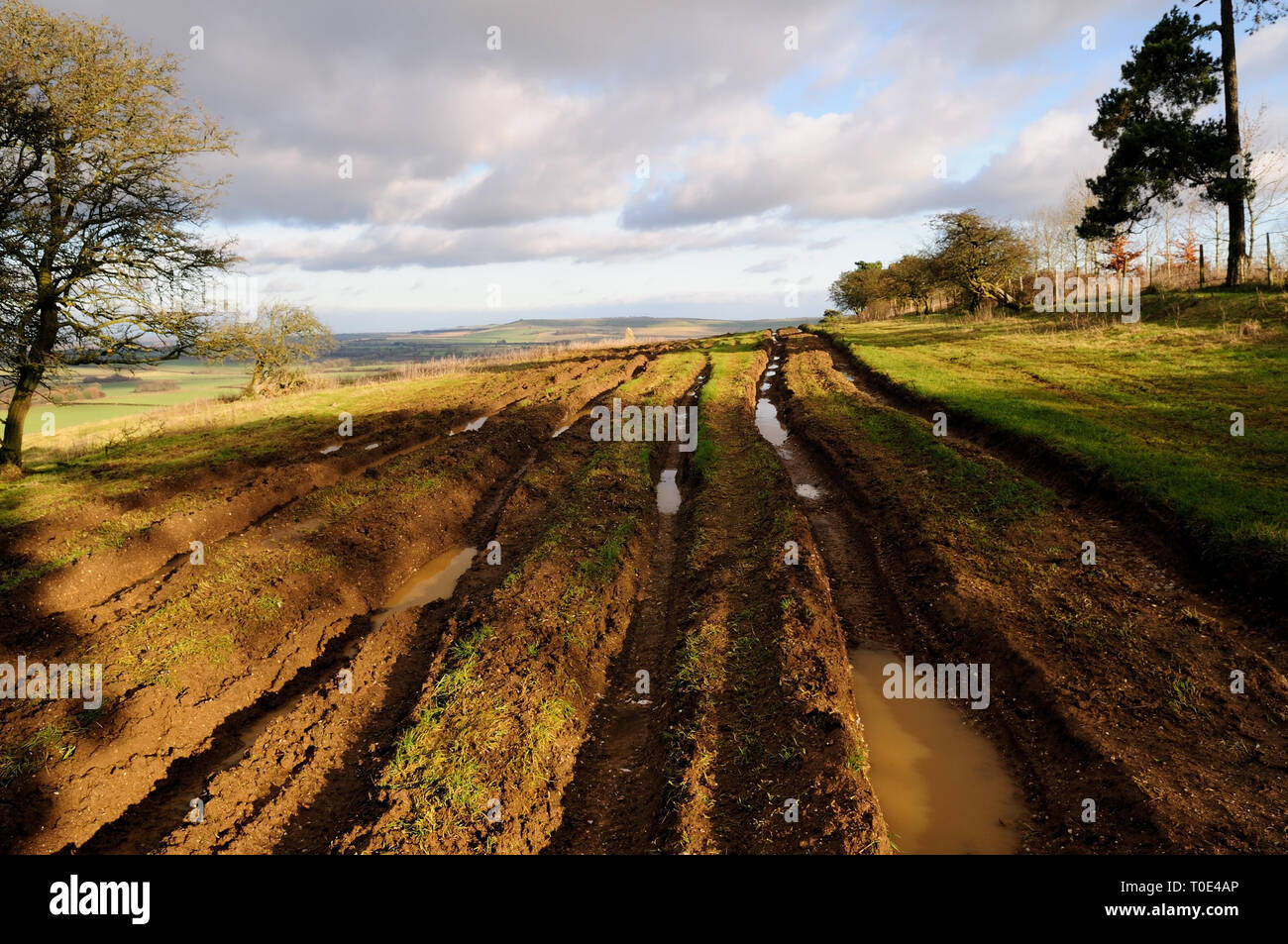 Ein multi-Ausgefahrene byway durch off-road Fahrzeuge beschädigt. Stockfoto